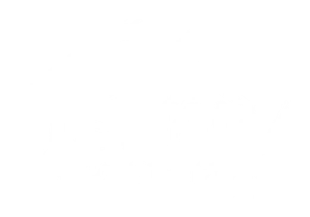 logo_NEW___SNOW_SPACE